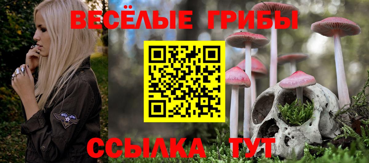 купить  сайты  Псилоцибиновые грибы ЛСД  Вход с VPN  Тольятти 